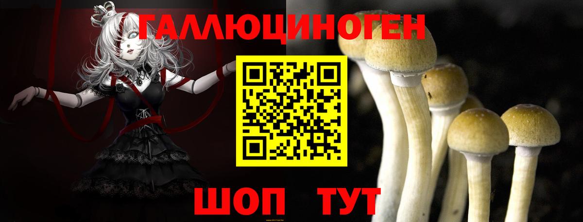 Галлюциногенные грибы Cubensis  Псилоцибиновые грибы Psilocybine cubensis  Троицк  Вход с VPN 